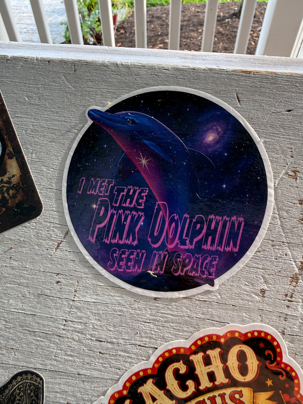 Pink Dolphin Seen in Space Sticker