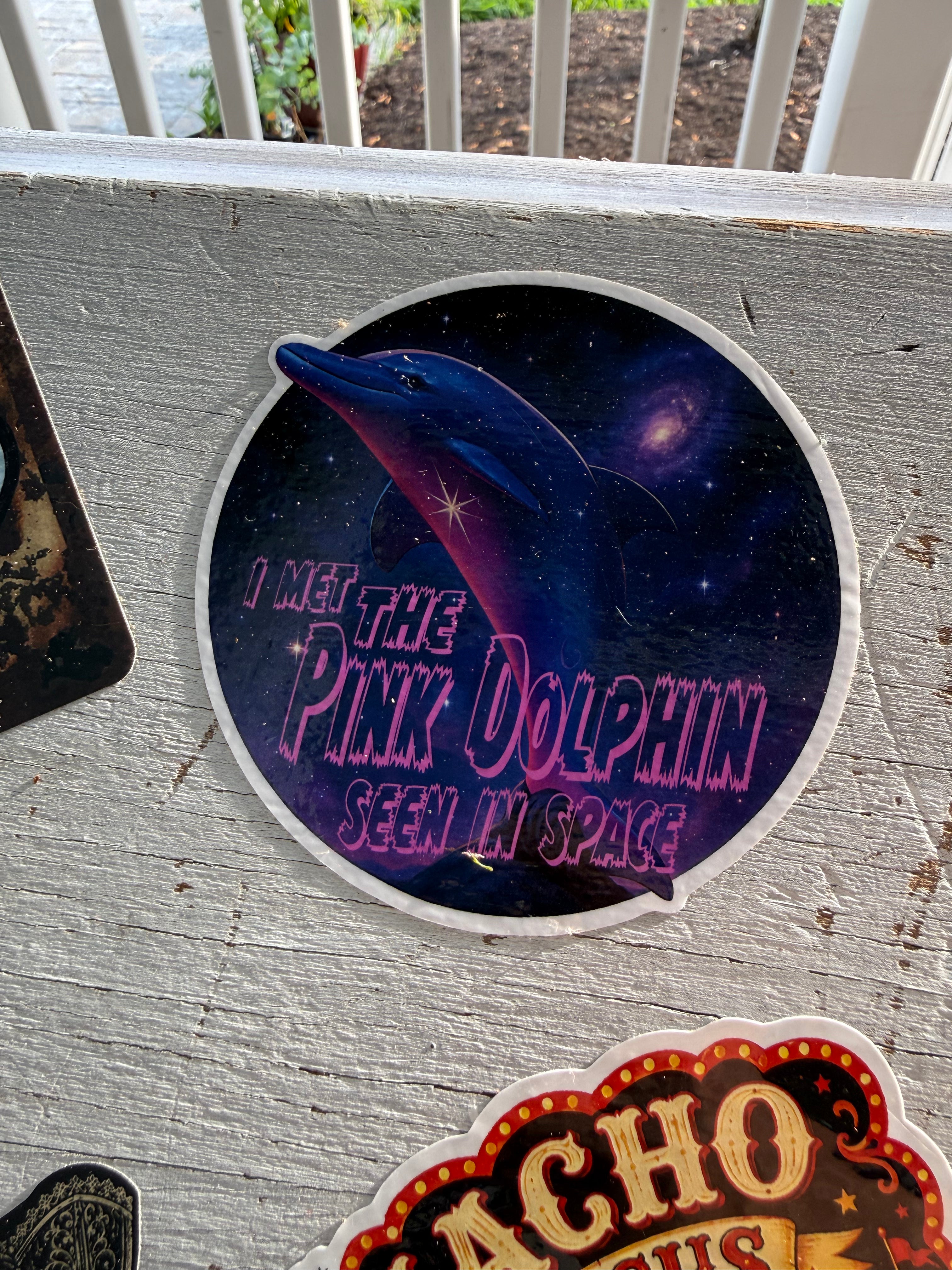 Pink Dolphin Seen in Space Sticker